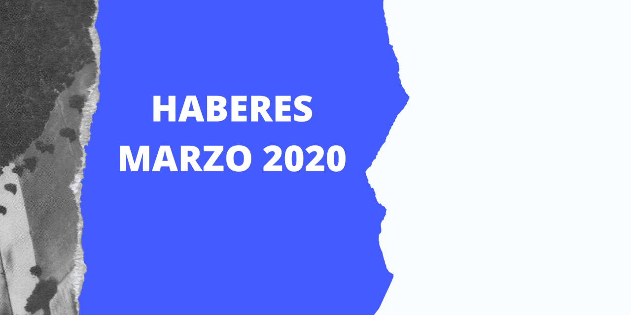 LIQUIDACIÓN DE HABERES MARZO 2020/PARITARIA 2019